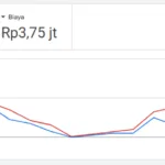 Optimasi Iklan Google Ads